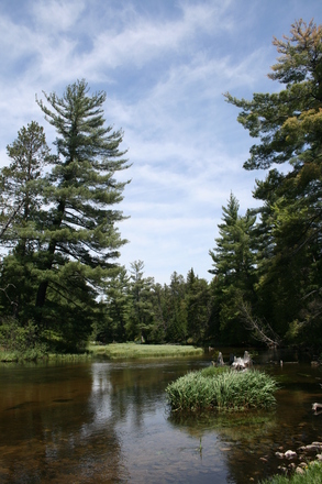 Michigan ATV rental